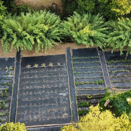 Renovated Barn With Garden And Pool - For 8 度假居