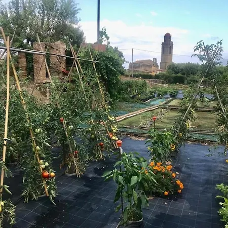 Renovated Barn With Garden And Pool - For 8 Corsa